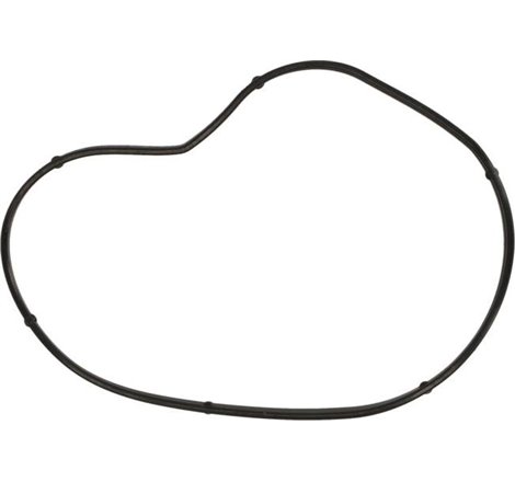 Garnitura, pompa de apa - Ajusa-01099900