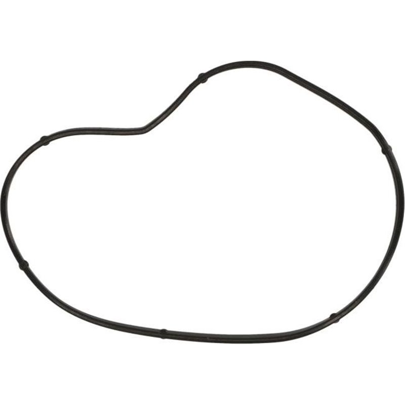 Garnitura, pompa de apa - Ajusa-01099900