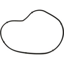 Garnitura, pompa de apa - Ajusa-01099900