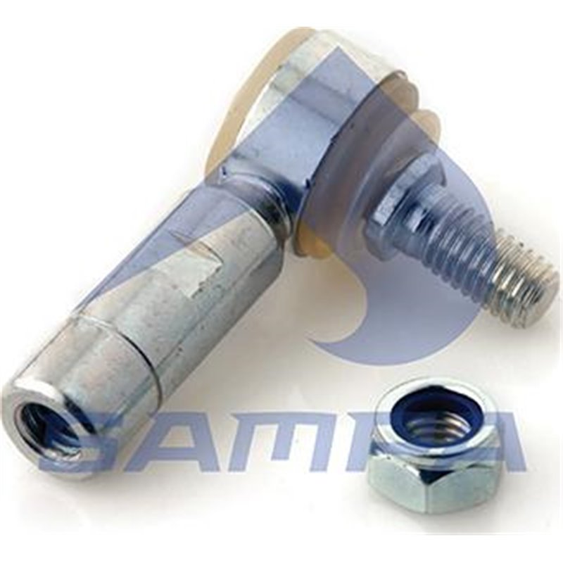 Cap de bara - Sampa-020.077