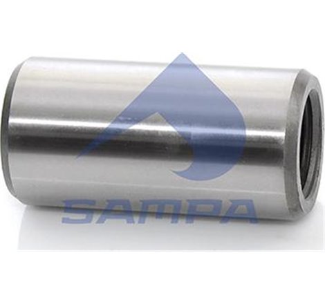 Bucsa arc foi - Sampa-030.167