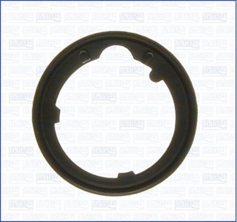 Garnitura termostat - Ajusa-01106800