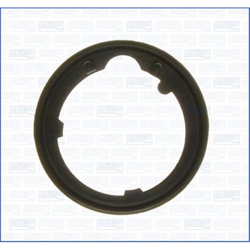 Garnitura termostat - Ajusa-01106800