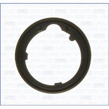 Garnitura termostat - Ajusa-01106800