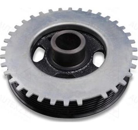 Fulie curea, arbore cotit - Sasic-2156040