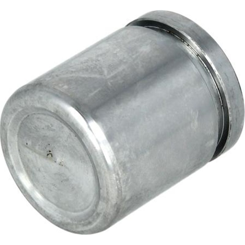 Piston, etrier frana - AUTOFREN SEINSA-D025266
