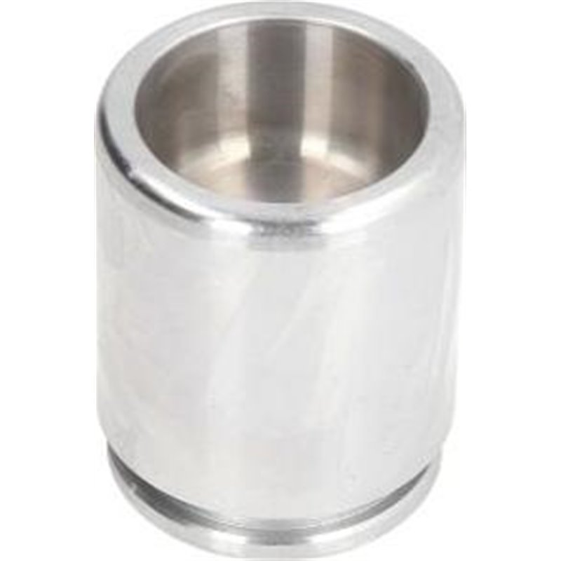 Piston, etrier frana - AUTOFREN SEINSA-D025350