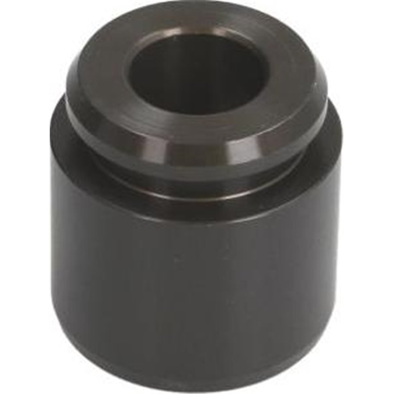 Piston, etrier frana - AUTOFREN SEINSA-D025366