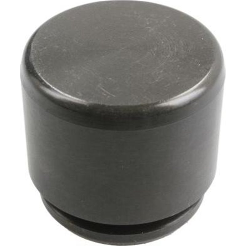 Piston, etrier frana - AUTOFREN SEINSA-D025367