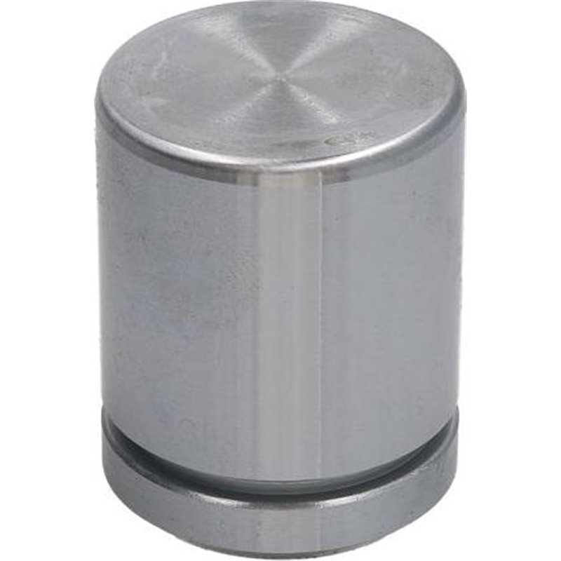 Piston, etrier frana - AUTOFREN SEINSA-D025386