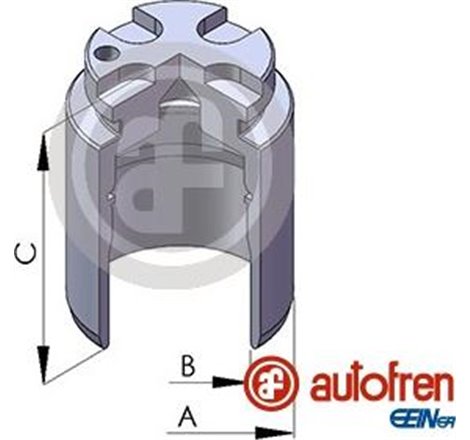 Piston, etrier frana - AUTOFREN SEINSA-D02548