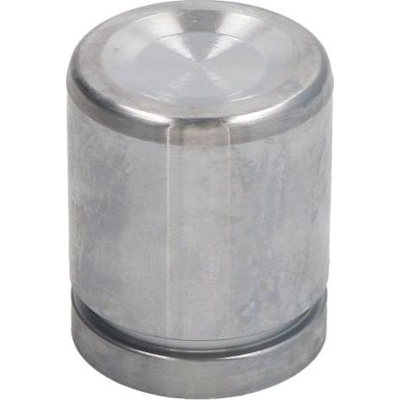 Piston, etrier frana - AUTOFREN SEINSA-D025497