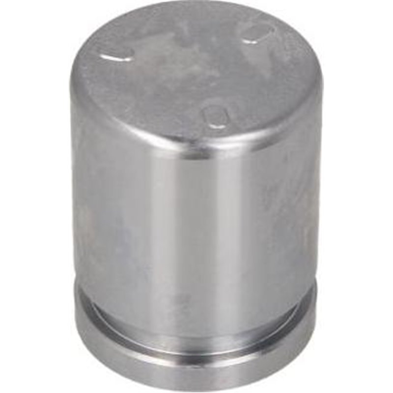 Piston, etrier frana - AUTOFREN SEINSA-D025636