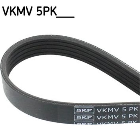 V-curea NISSAN. RENAULT ALMERA. Micra. CLIO. GRAND SCA NIC. KANGOO. CLIO. THALIA MODUS. - SKF-VKMV5PK1199