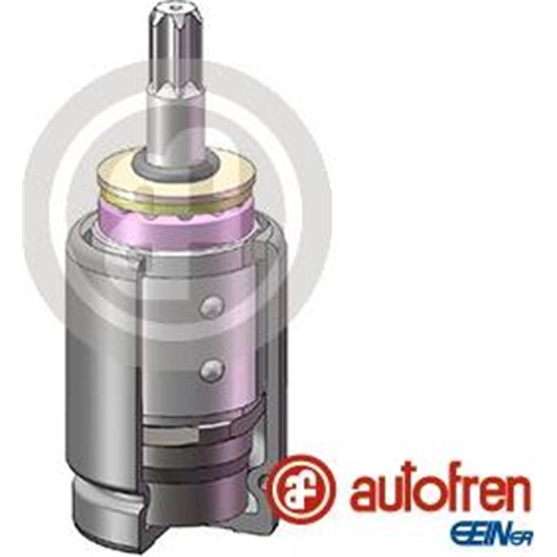 Piston, etrier frana - AUTOFREN SEINSA-D025684K