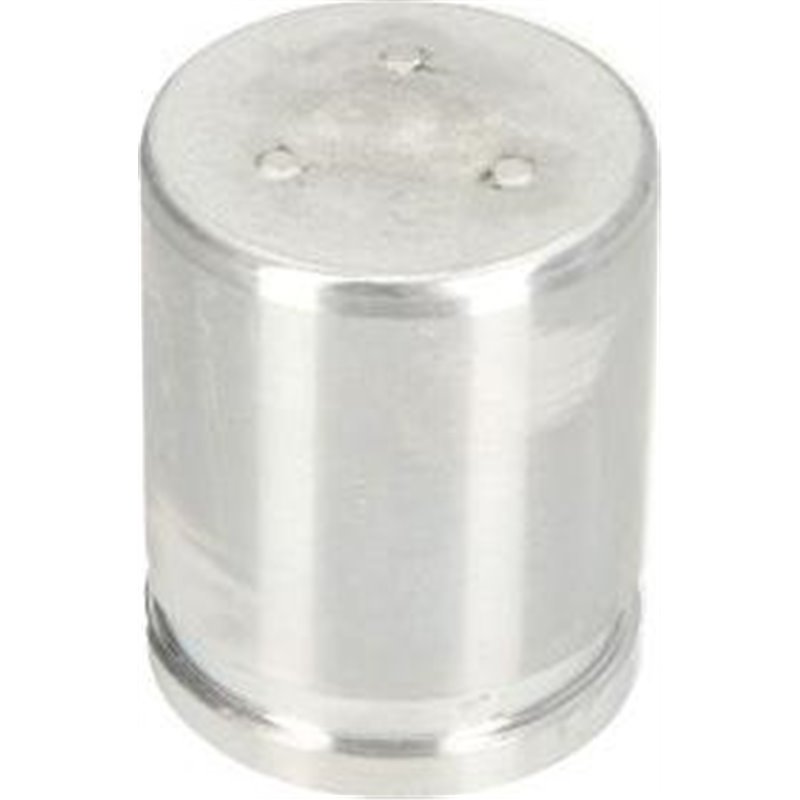 Piston, etrier frana - AUTOFREN SEINSA-D025692