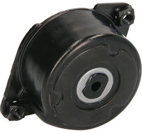 Rola de tensionare curea de transmisie BMW 3 E46 3.0D 99-. OPEL OMEGA 2.5DTI 01- - SNR-GA350.52