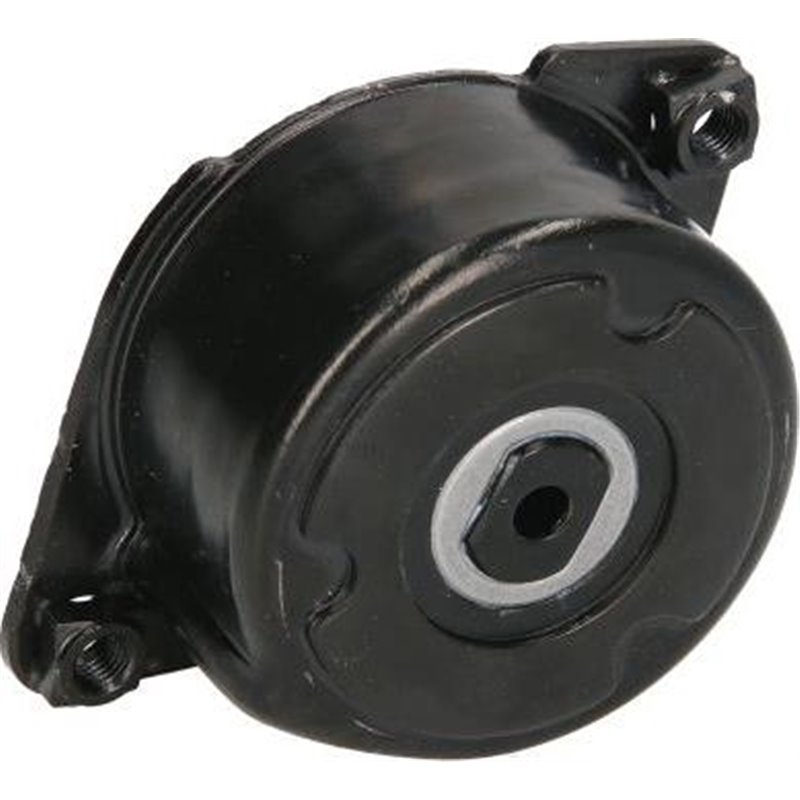 Rola de tensionare curea de transmisie BMW 3 E46 3.0D 99-. OPEL OMEGA 2.5DTI 01- - SNR-GA350.52