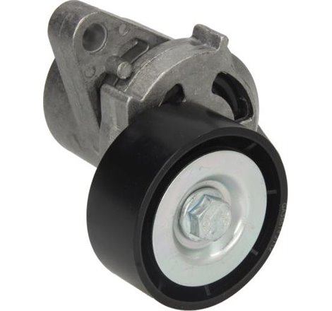 rola tensionare curea cu caneluri cu AC Renault Clio II. Espace III. Kangoo. Laguna-II. Megane. Thalia. Dacia Logan. Sandero. So