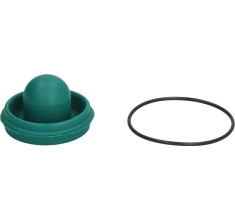 Set reparatie, pompa centrala frana - AUTOFREN SEINSA-D1286