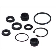 Set reparatie, pompa centrala frana - AUTOFREN SEINSA-D1674