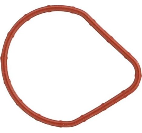 Garnitura termostat - Ajusa-01167500