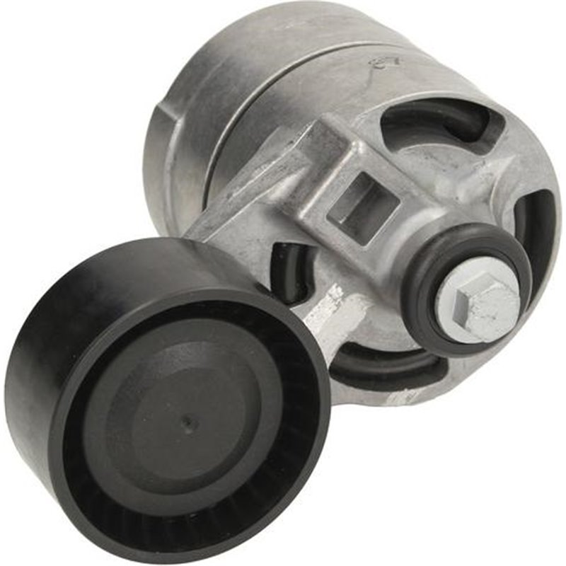 Intinzator curea, curea distributie - Swag-50 93 7255