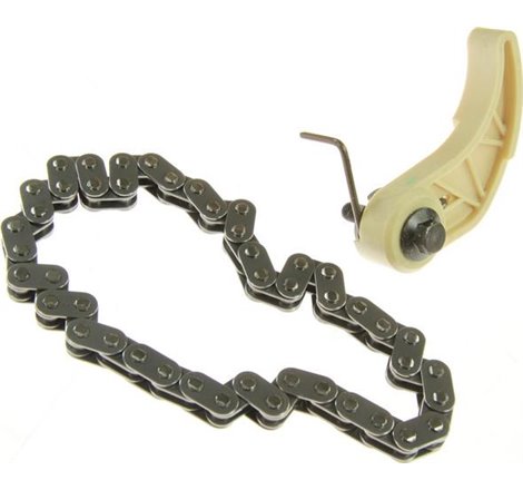 Set lant, antrenare pompa ulei - Swag-99 13 3754