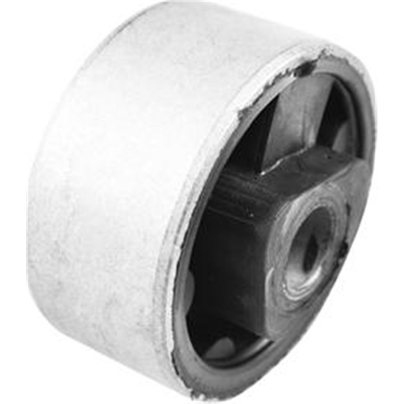 Rulment, diferential - Tedgum-00028606