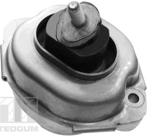 Suport motor - Tedgum-00088396