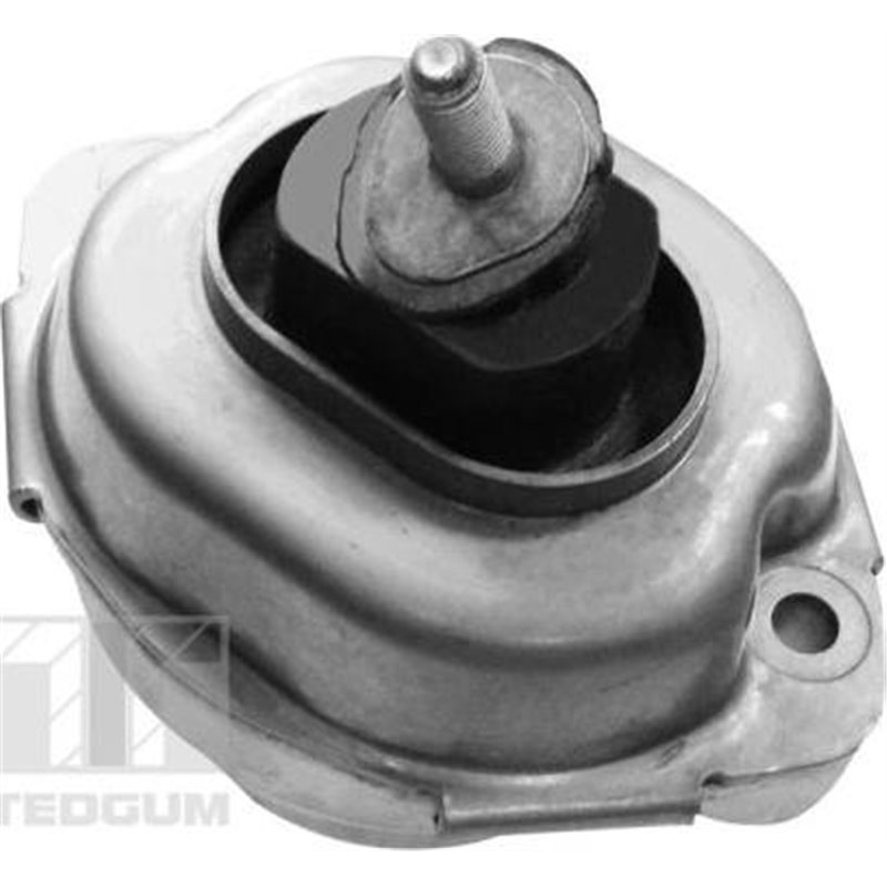 Suport motor - Tedgum-00088396