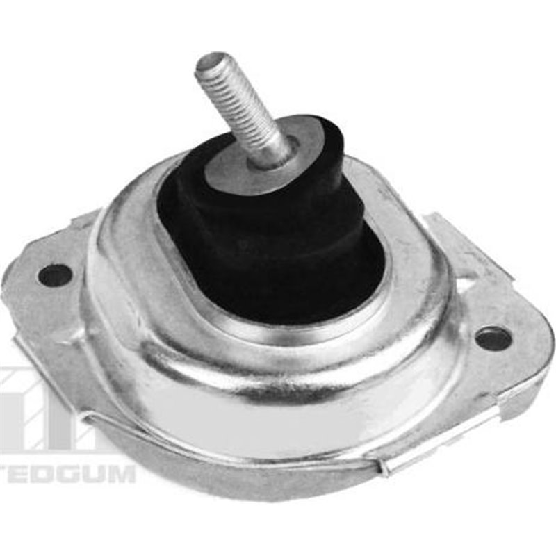 Suport motor - Tedgum-00088550
