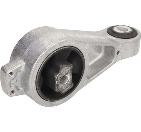 Suport motor - Tedgum-00133209