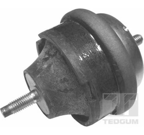 Suport motor - Tedgum-00145015