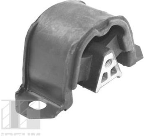 Suport motor - Tedgum-00162110