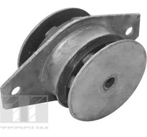 Suport motor - Tedgum-00214179