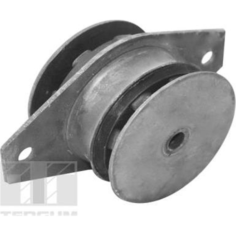 Suport motor - Tedgum-00214179