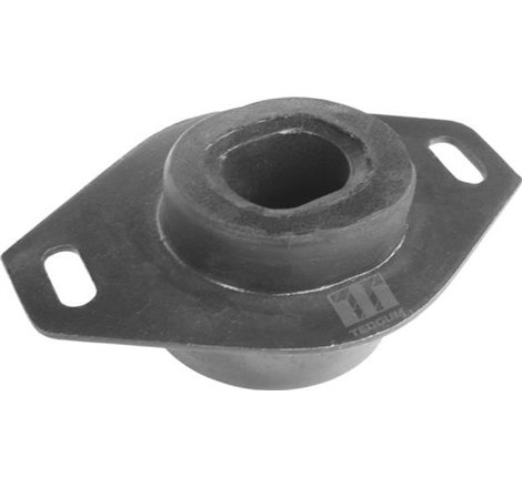 Suport motor - Tedgum-00214223