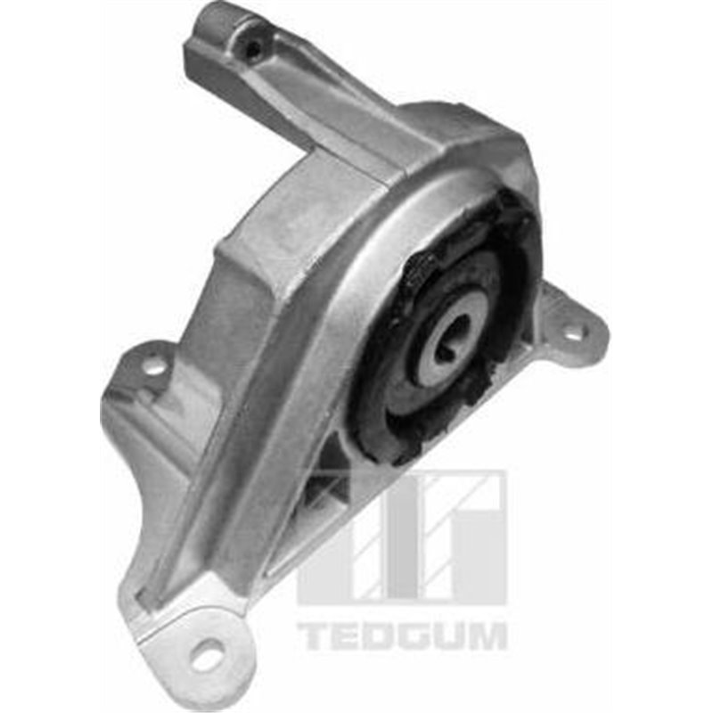 Suport motor - Tedgum-00215780
