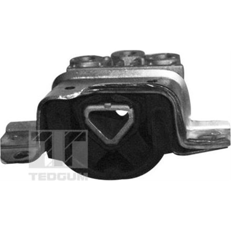 Suport motor - Tedgum-00219579