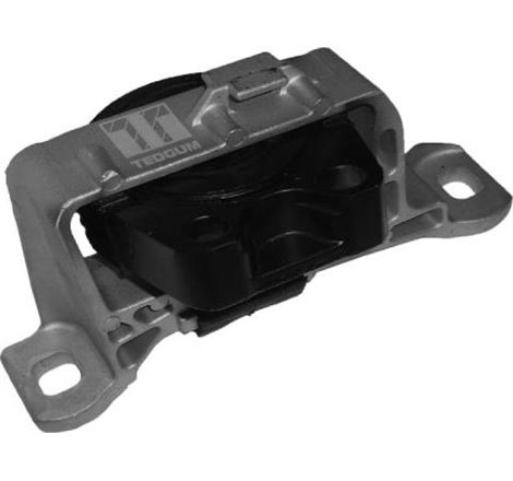 Suport motor - Tedgum-00221651