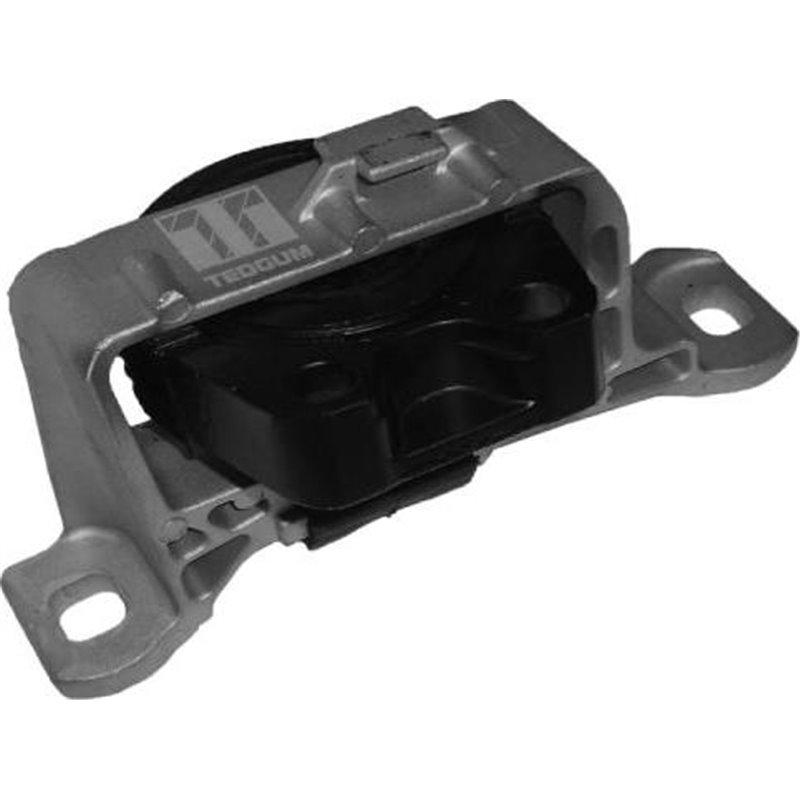 Suport motor - Tedgum-00221651