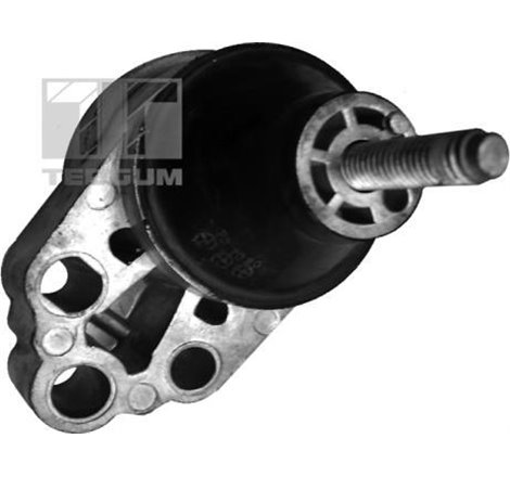 Suport motor - Tedgum-00226305