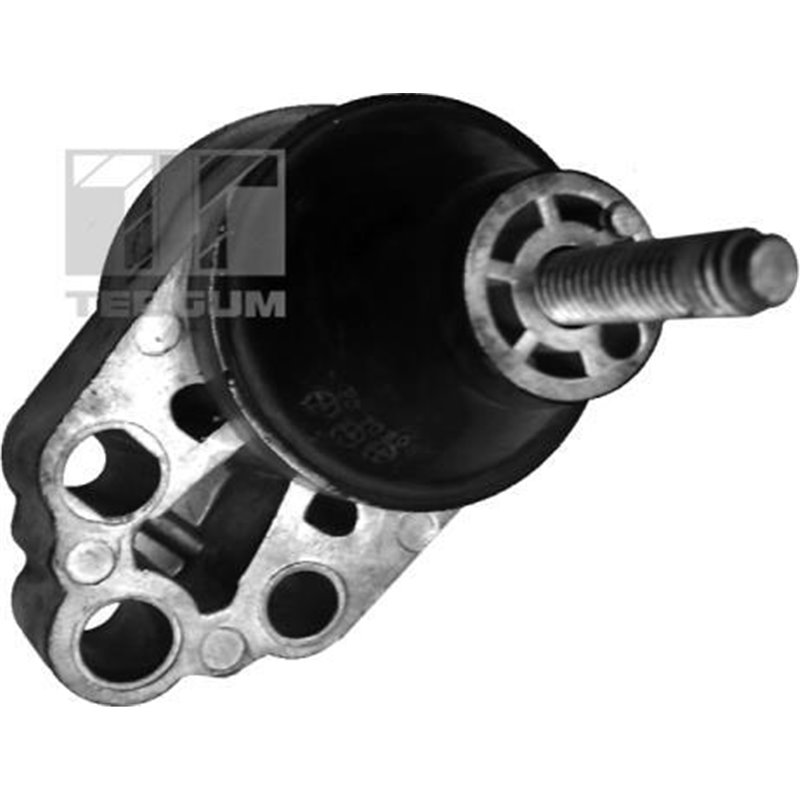 Suport motor - Tedgum-00226305