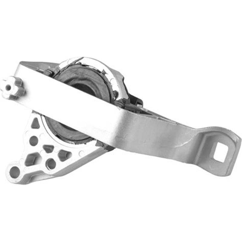 Suport motor - Tedgum-00226633