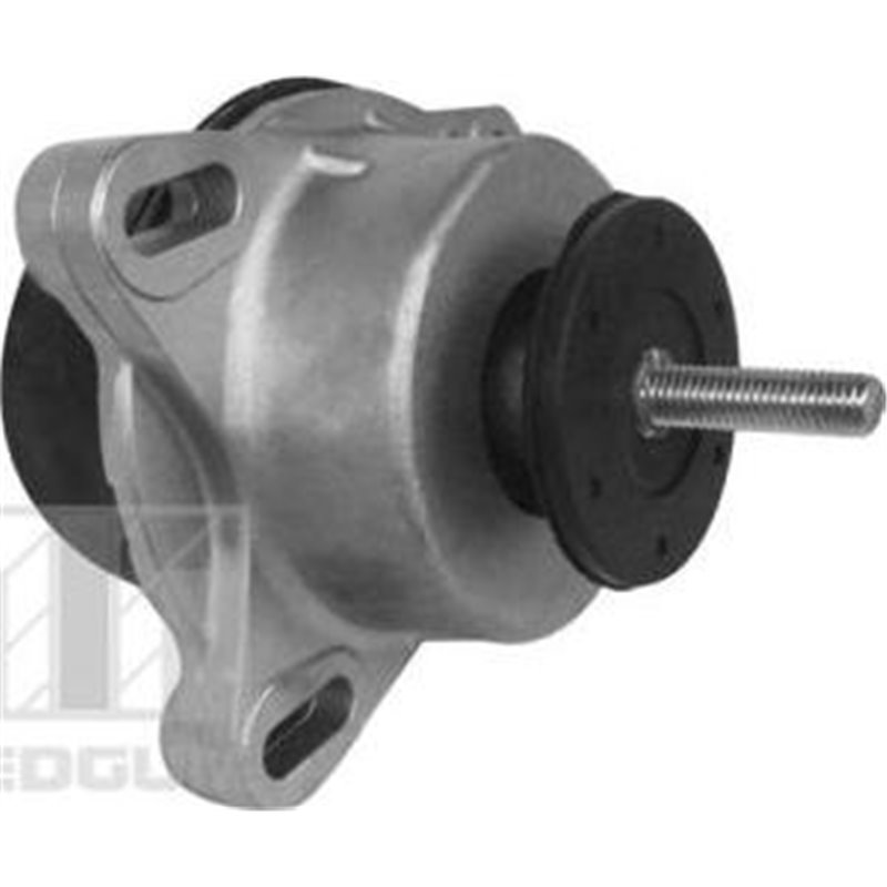 Suport motor - Tedgum-00228940