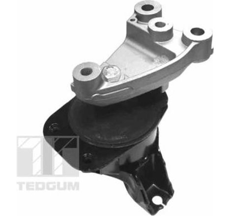 Suport motor - Tedgum-00263047