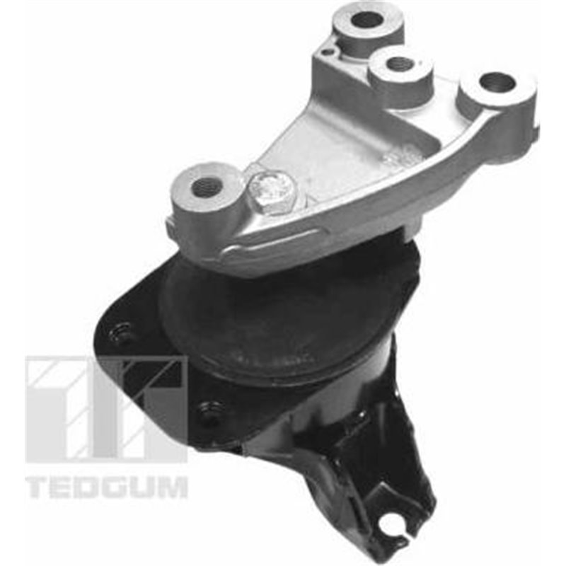 Suport motor - Tedgum-00263047