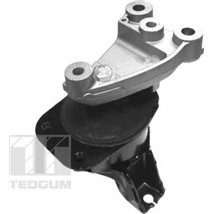 Suport motor - Tedgum-00263047