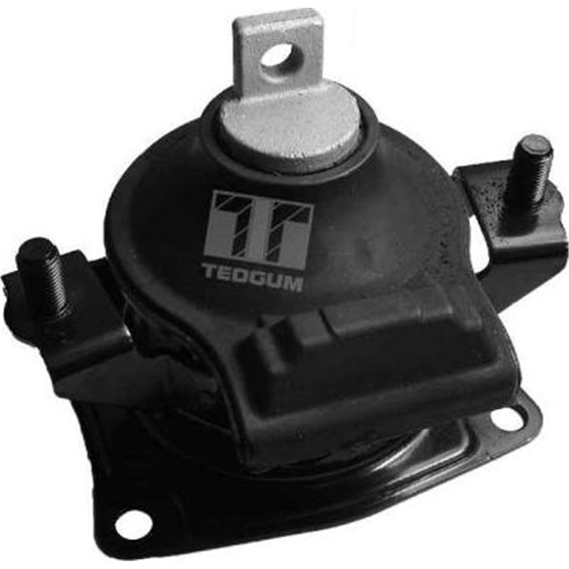 Suport motor - Tedgum-00263076
